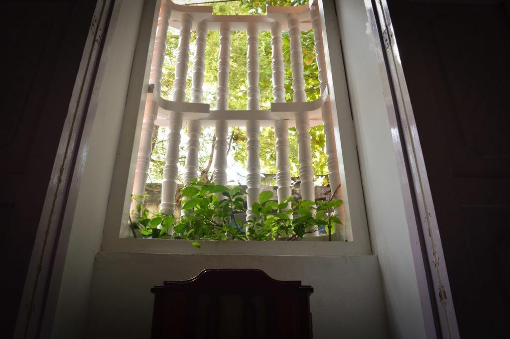 Casa De Santo Domingo Vidal Hostel Cartagena Kültér fotó